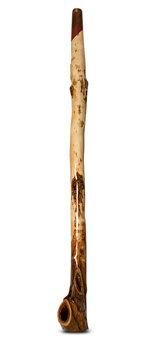 Brad Hagelstein Didgeridoo (BH051)